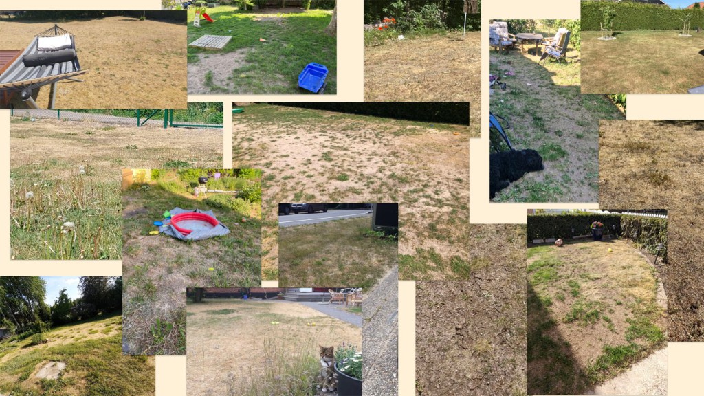 Submissions to the World's Ugliest Lawn contest 