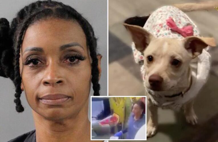 Florida nurse accused of killing neighbor’s cats, pregnant dog with pesticide