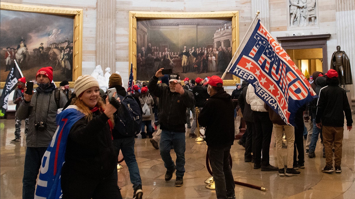 Protesters in rotunda