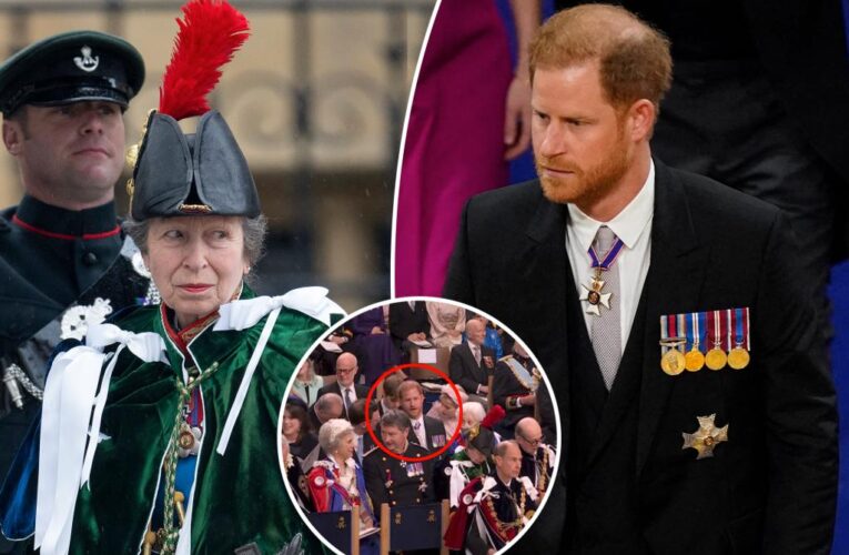 Princess Anne worried about coronation hat that blocked Prince Harry: book