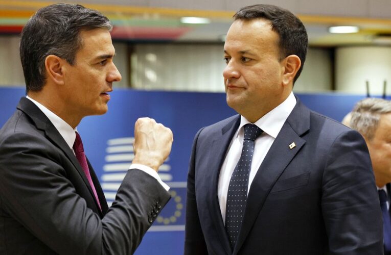 Spain and Ireland call for ‘urgent review’ of EU-Israel agreement over war in Gaza