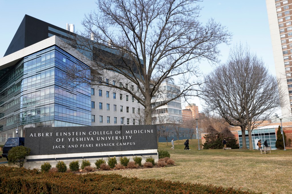 The Albert Einstein College of Medicine in the Bronx 