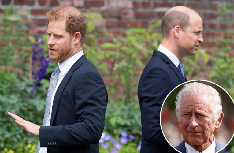 Prince Harry has ‘no plans’ to reunite with Prince William during UK visit after King Charles’ cancer diagnosis