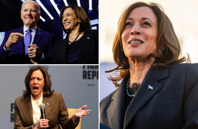 Kamala Harris insists she’s ‘ready to serve,’ touts her ‘capacity to lead’