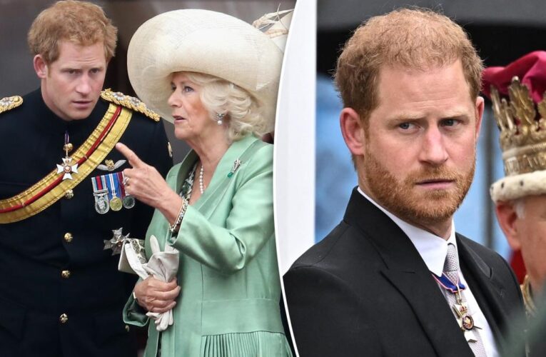 Prince Harry ‘preferred not to be in the same room’ as Queen Camilla during UK trip: longtime pal