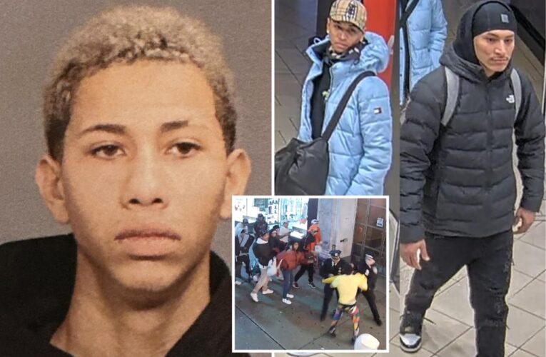 Migrant teen accused in Times Square attack on cops is arrested again