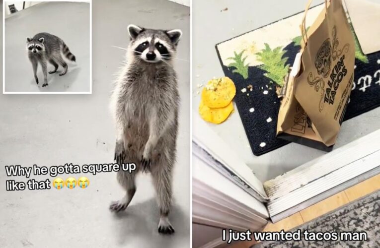 Hungry raccoons steal woman’s DoorDash taco delivery