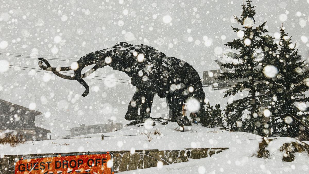 Mammoth Mountain Ski Area statue