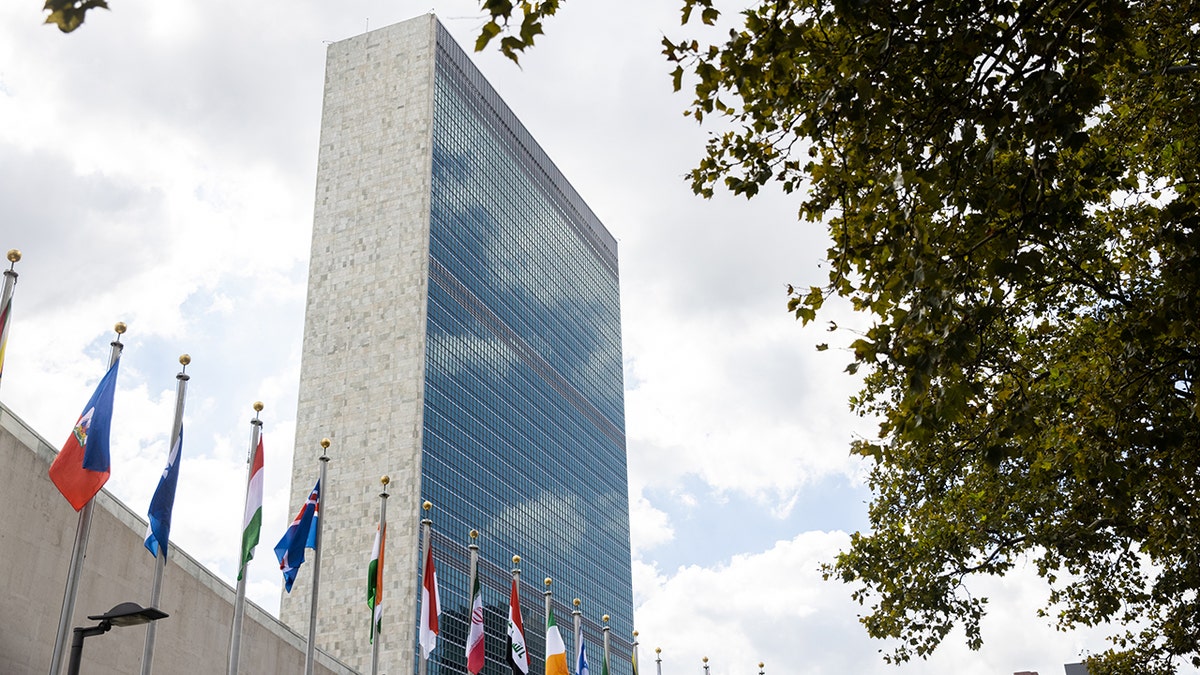 United Nations flags