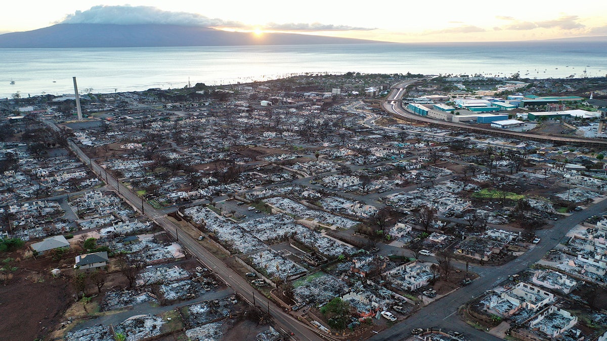 Maui wildfire devastation