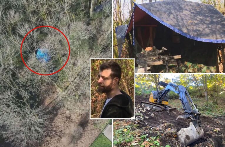 Seattle homeless man Steven Irwin builds cabin in public park months after digging up site with excavator