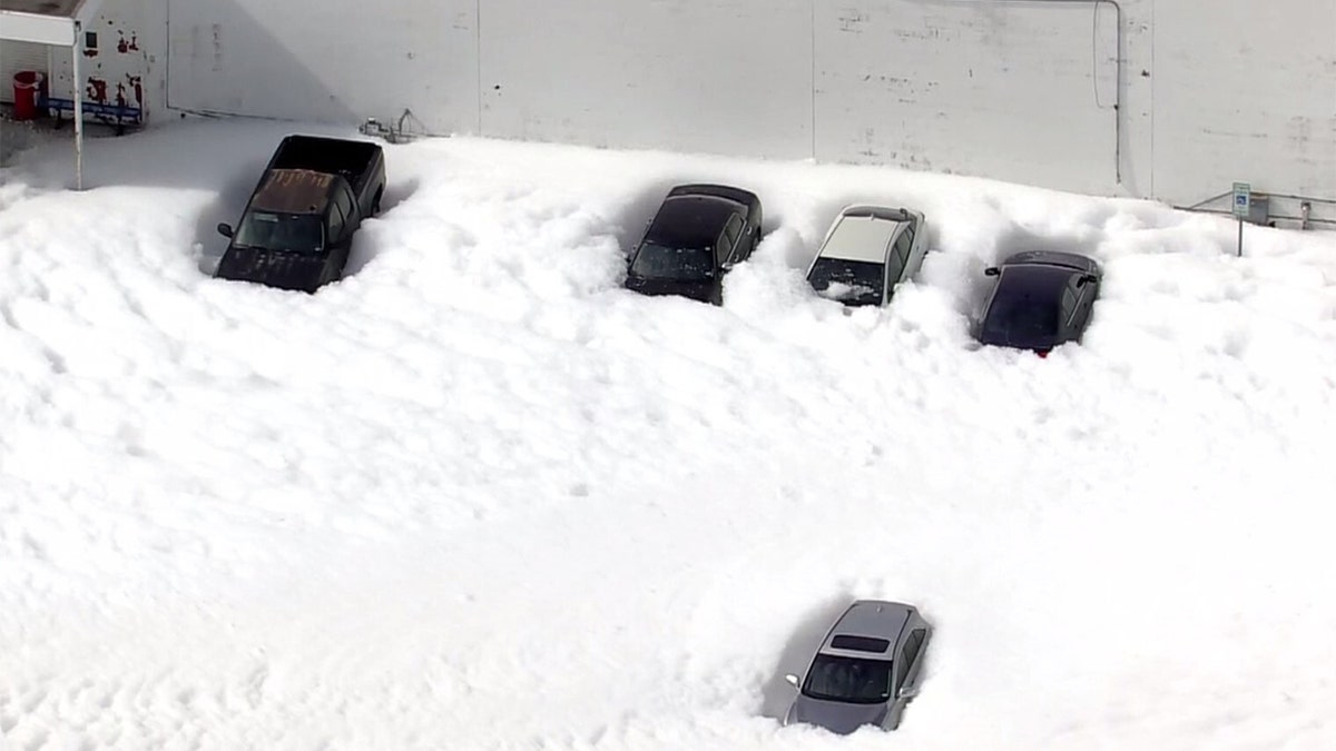 vehicles covered in foam