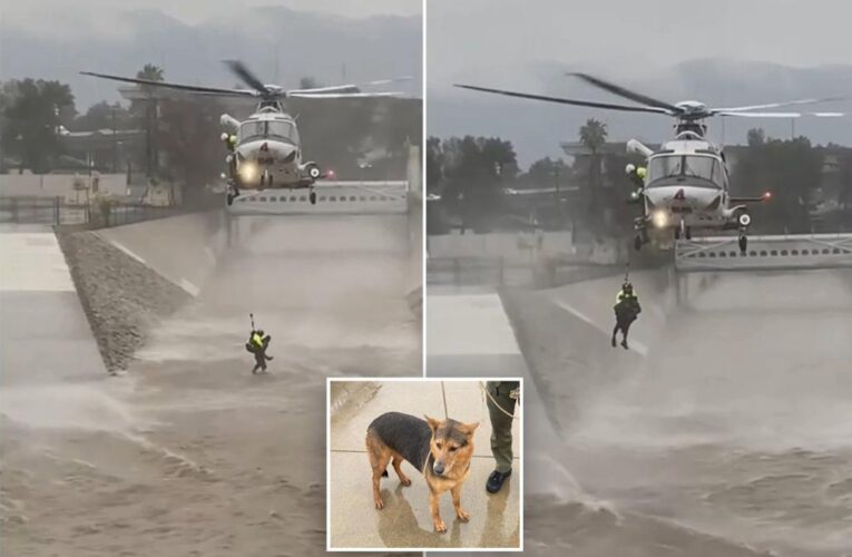 Los Angeles Fire Department rescue man from raging rivers after jumping in to save dog