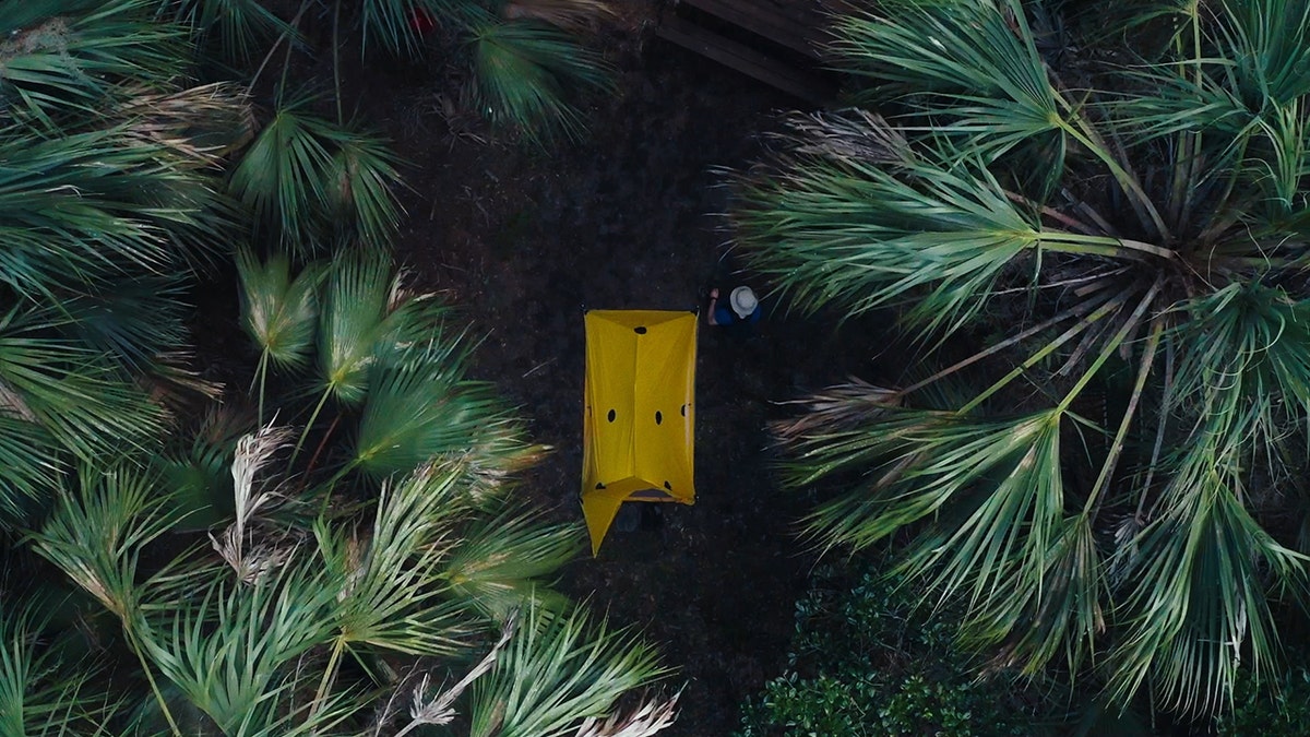 A yellow tent surrounded by trees