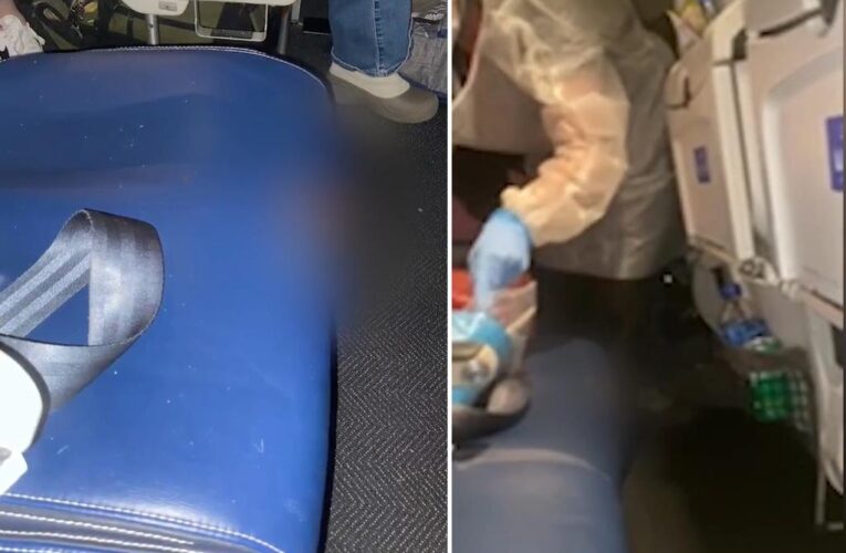 United Airlines dog poops on flight as fellow travelers scramble to figure out the culprit