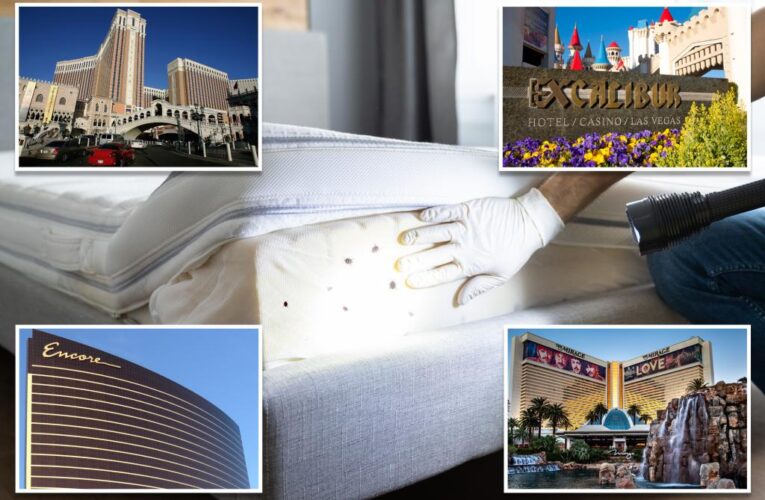Bed bugs found at four Las Vegas hotels in four months