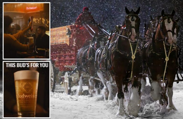 The Budweiser Clydesdales make a triumphant return in their Super Bowl 2024 commercial