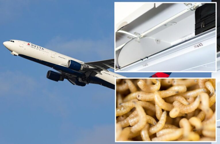 Delta passenger ‘was freaking out’ when maggots fell on her