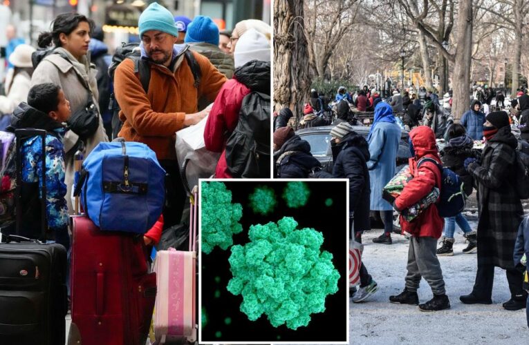 Social media users claim migrants behind norovirus spike