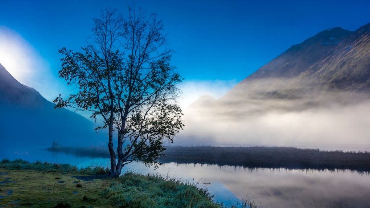 Kenai Peninsula