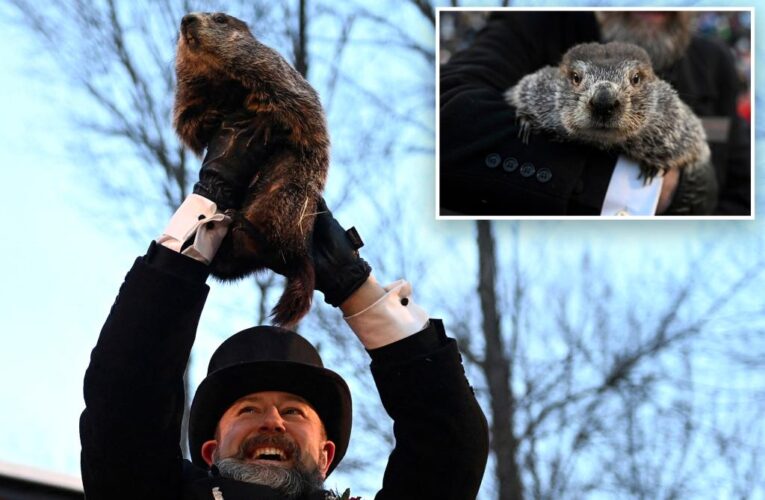 Punxsutawney Phil prepares to make his annual Groundhog Day winter weather forecast