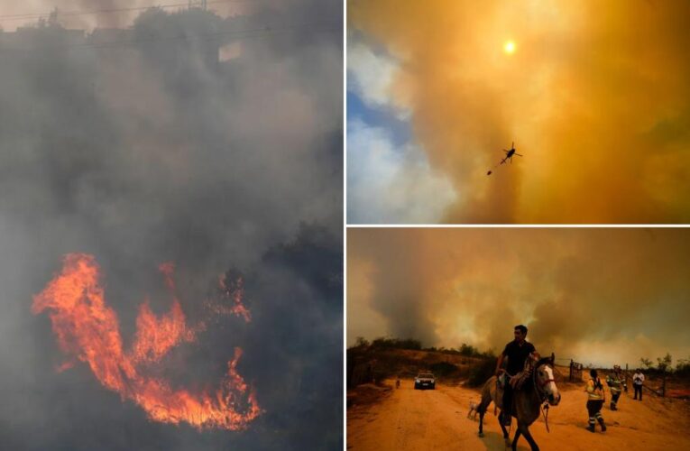 Chile forest fires leave at least 51 dead