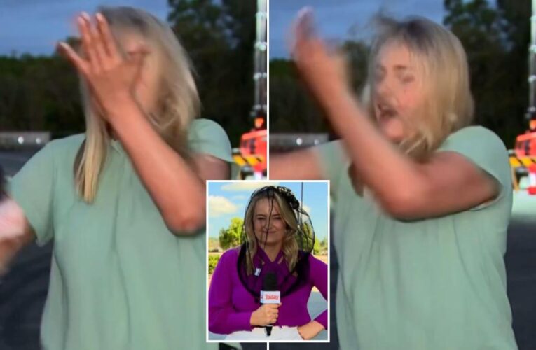 Australian news reporter Andrea Crothers slaps self in face during mosquito attack