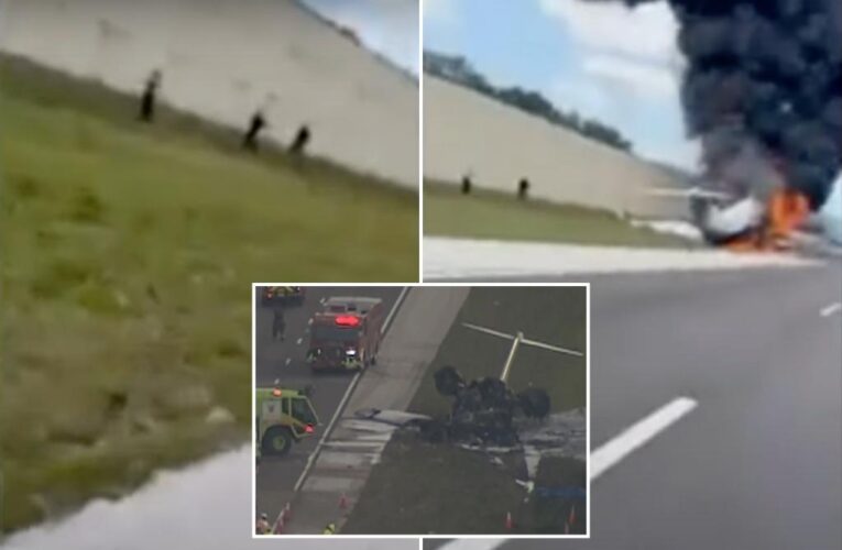 Florida plane crash video shows survivors run from Naples highway fire
