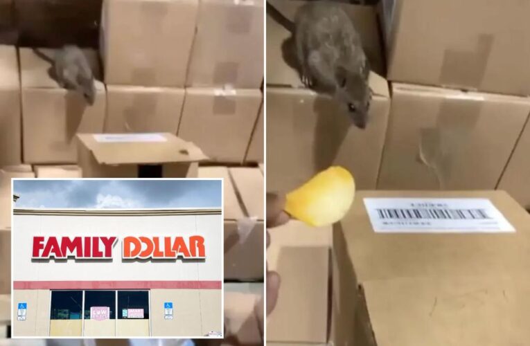 Family Dollar pleads guilty to holding consumer products in ‘rodent-infested warehouse’