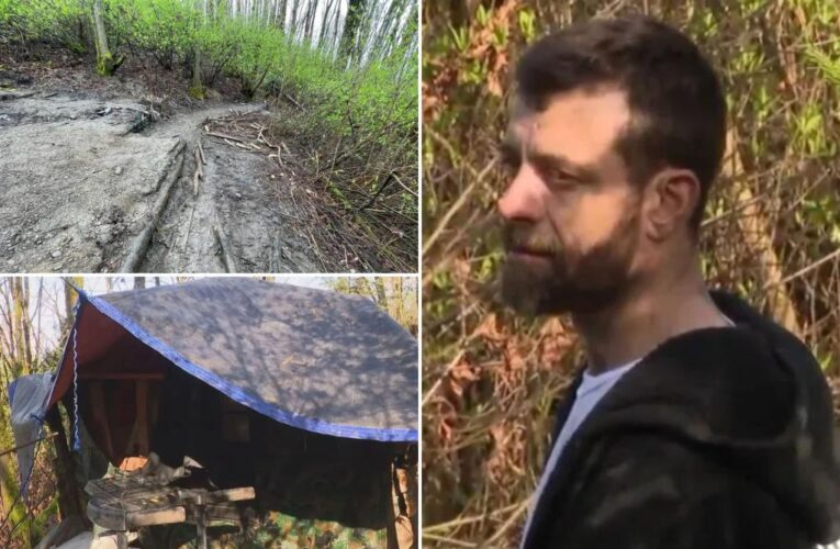 Seattle removes homeless man Steven Irwin’s ‘ticking time bomb’ cabin and gold mine