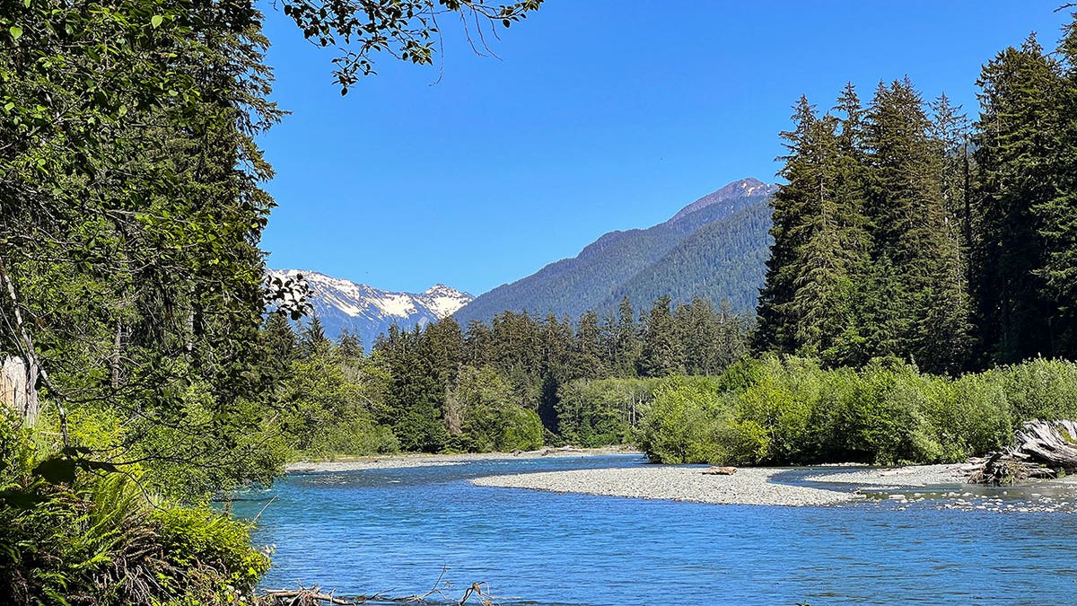 Lake surrounded by trees at Olympic National Park in Washington state