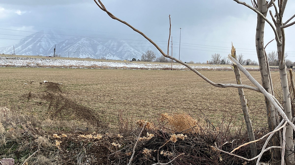 open field in Spanish Fork