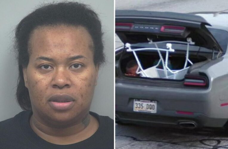 Diana Denise Shaffer busted for driving with son 12, in trunk: video
