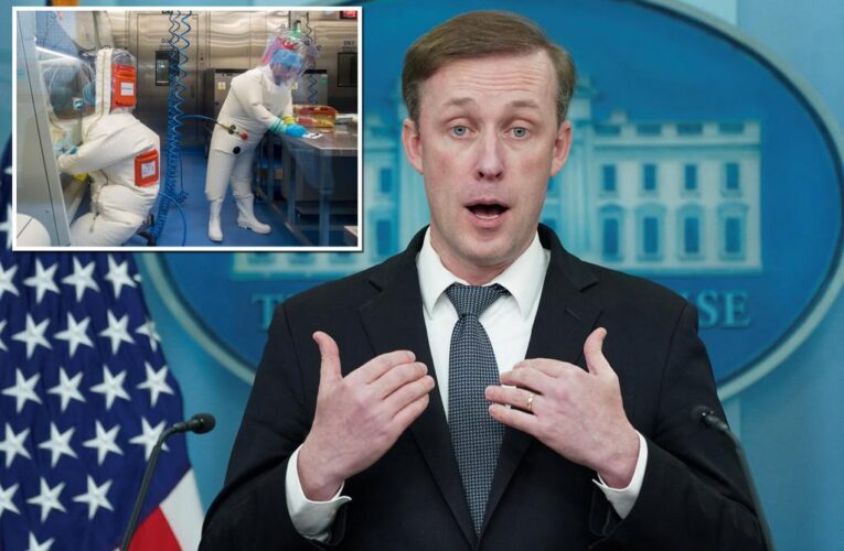 White House ‘vigilant’ about risky China research ‘harming Americans’ after COVID variant killed 100% of ‘humanized’ mice