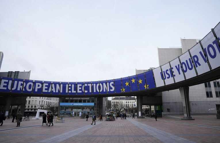 Euronews full force at era-defining European elections