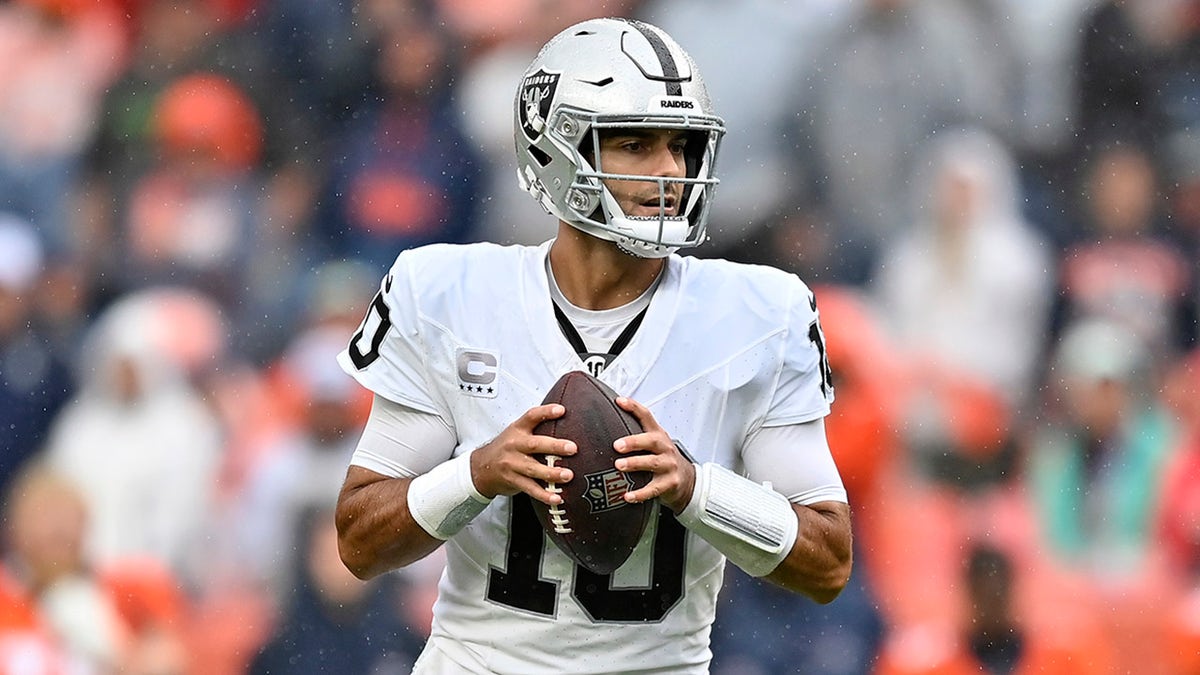 Jimmy Garoppolo looks to throw