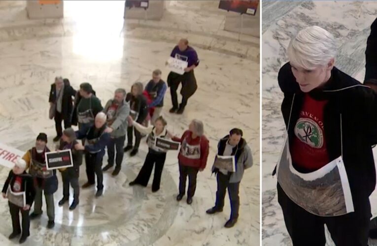 Pro-Palestinian protest breaks out inside Senate office building, interrupts interview with cease-fire chants