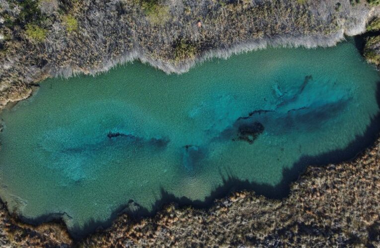 Scientists decry threats to Mexican wetland, an oasis in Chihuahuan Desert