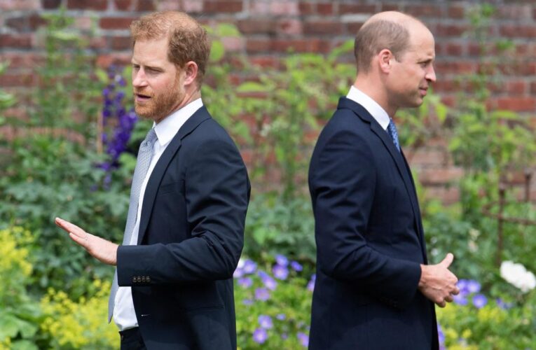 Prince Harry reached out to William before UK visit: ‘It isn’t normal’