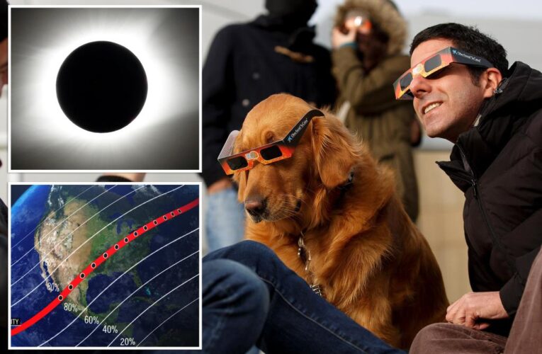 Scientists on lookout for bizarre animal antics during next month’s total eclipse: ‘It’s awe-inspiring’