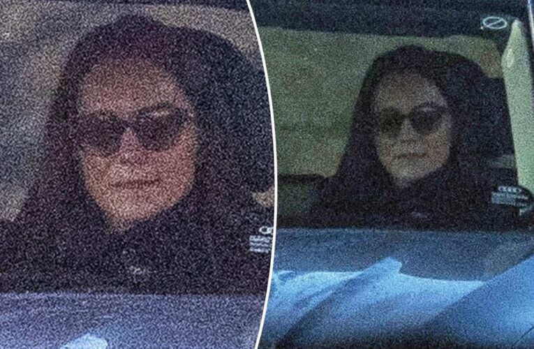 Kate Middleton spotted for first time since surgery, conspiracy theories: photos