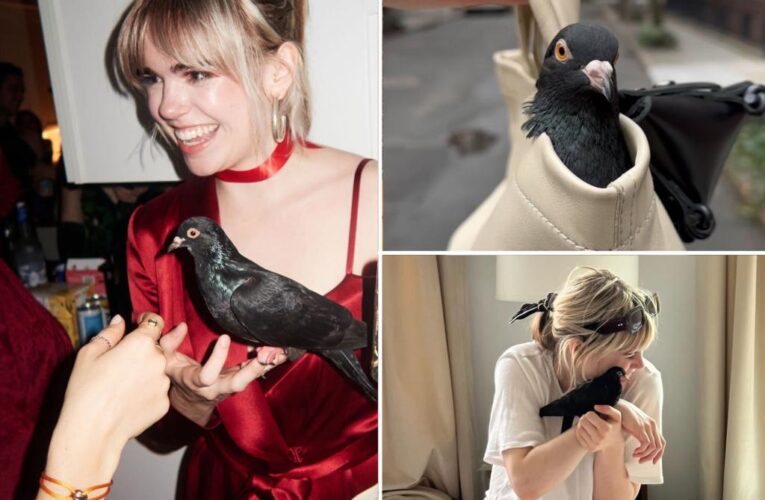 I potty-trained my pet pigeon — now I treat her to NYC’s finest restaurants, cool parties and Uber rides