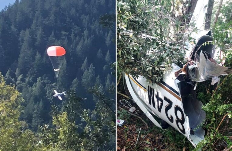 Family of 3 survive plane crash after using parachute system