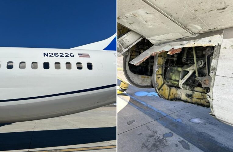 Boeing 737 loses external panel mid-flight