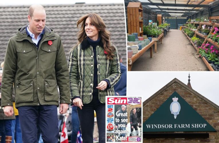 Kate Middleton, Prince William farm shop visit likely ‘purposefully arranged’: ‘Quite strange’
