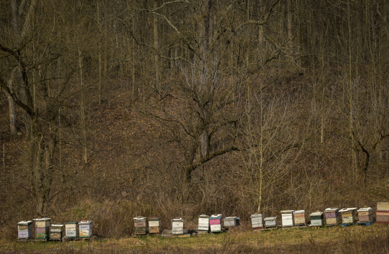 New York lawmakers expand fracking ban to include liquid carbon dioxide