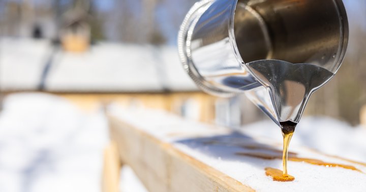 Sticky spot: Canada’s maple syrup production hits 5-year low, reserves sink
