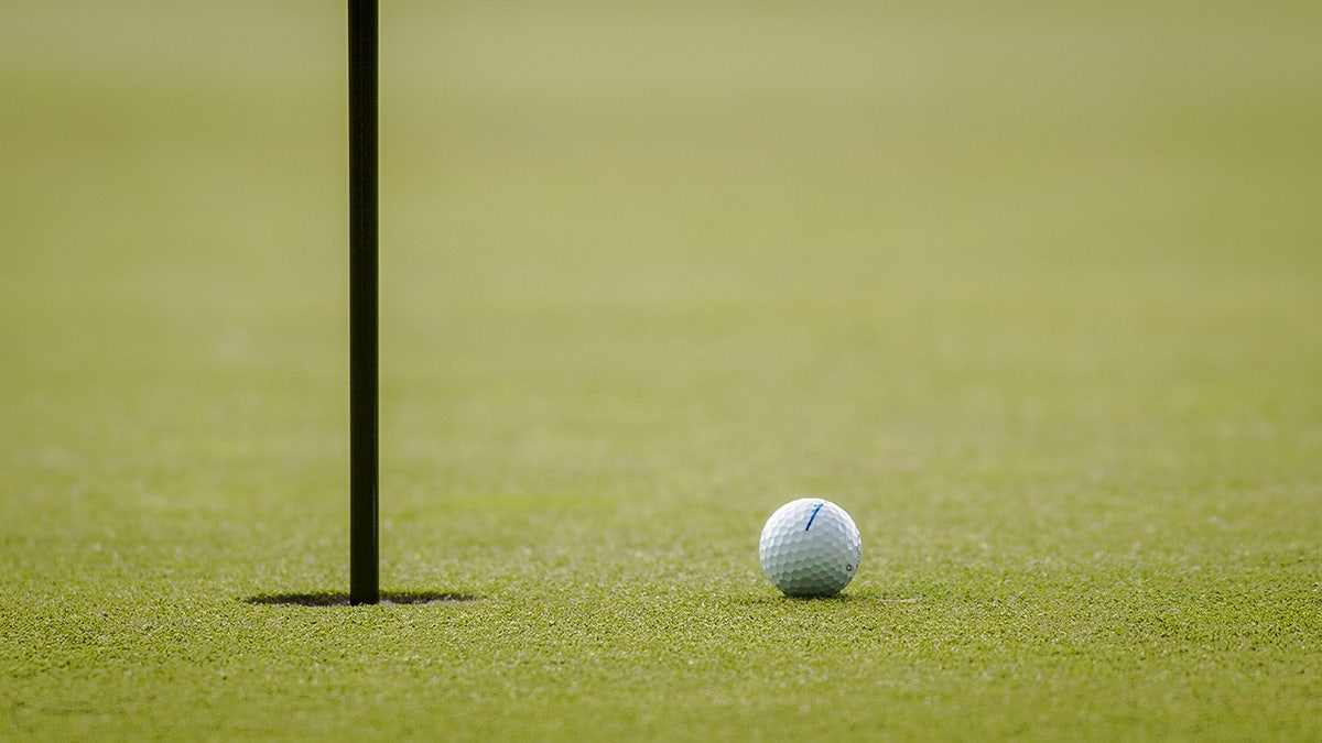 Golf ball on the green