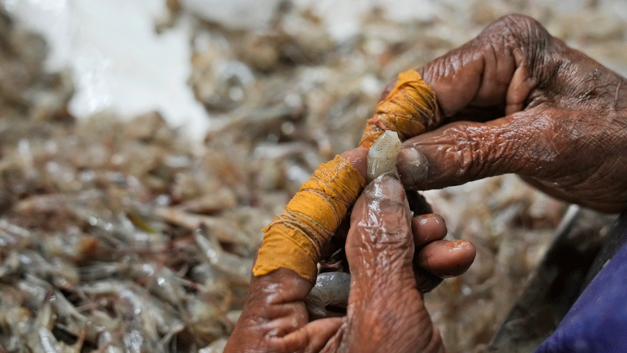 AP finds grueling conditions in Indian shrimp industry that report calls ‘dangerous and abusive’