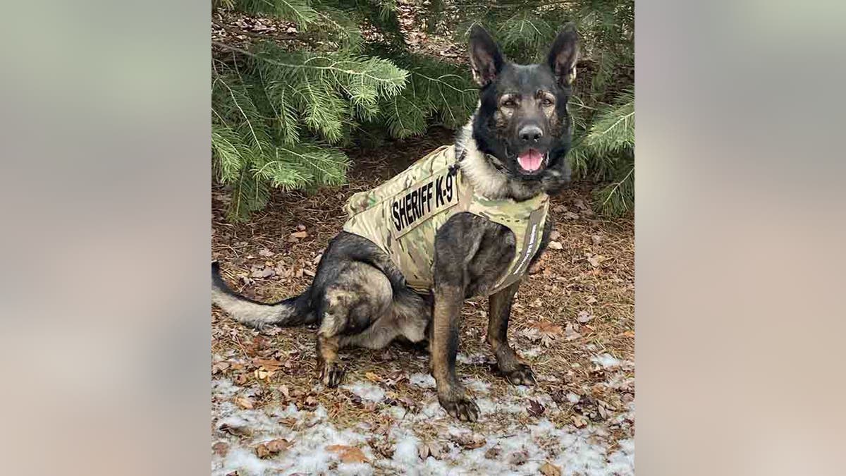 Lake County Sheriff’s K-9 Dax